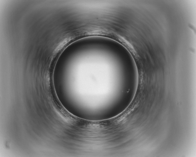 X0000099380298200805081452