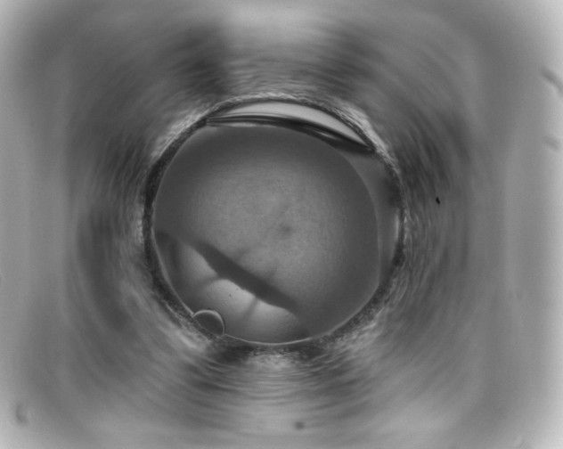 X0000099380299200805081452