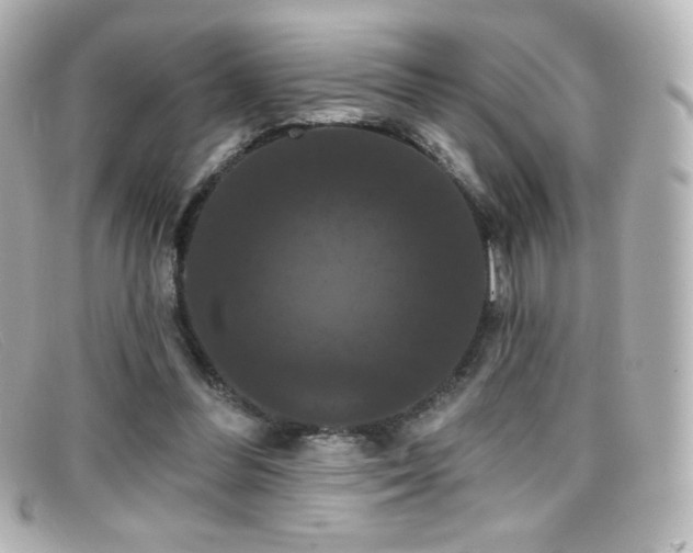 X0000099380300200805081452