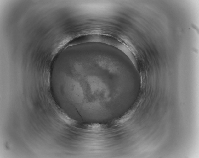 X0000099380301200805081452