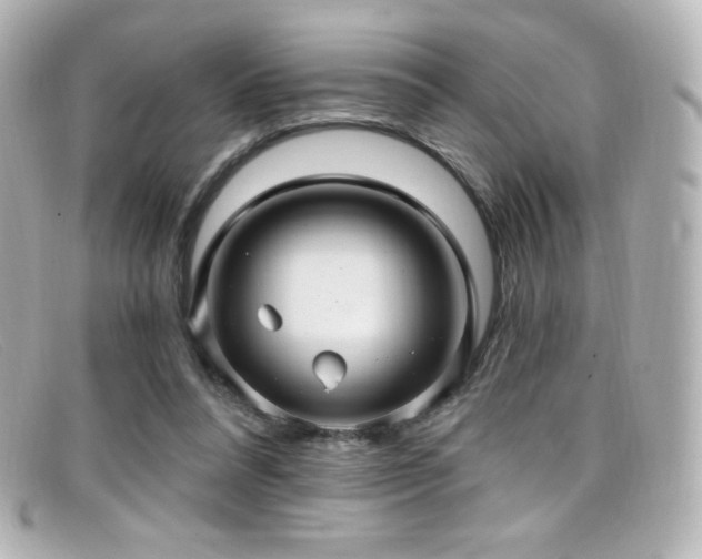 X0000099380304200805081452