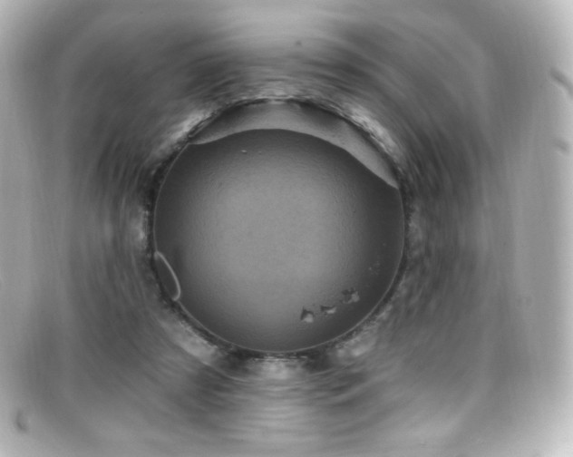 X0000099380305200805081452