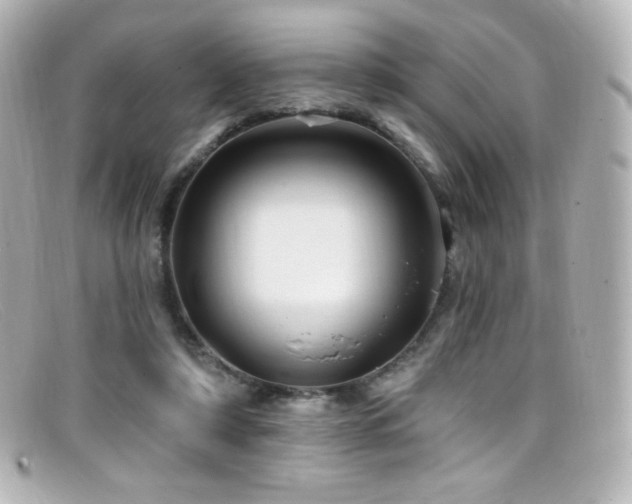 X0000099380306200805081452