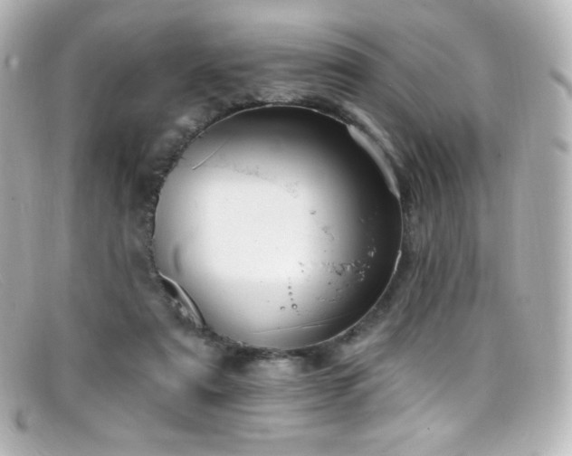 X0000099380307200805081452