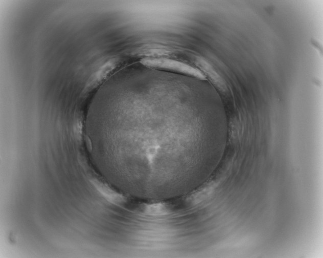 X0000099380309200805081452