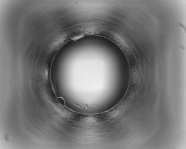 X0000099380310200805081452