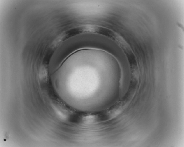 X0000099380312200805081452