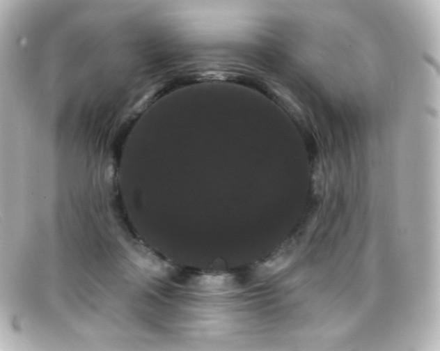 X0000099380314200805081452