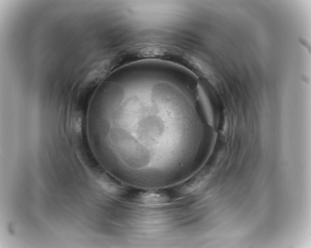 X0000099380315200805081451