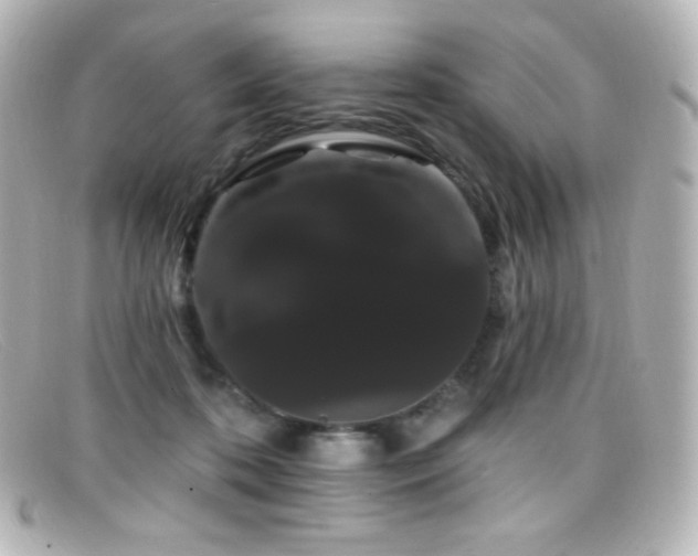 X0000099380316200805081451