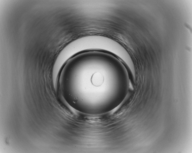 X0000099380317200805081451