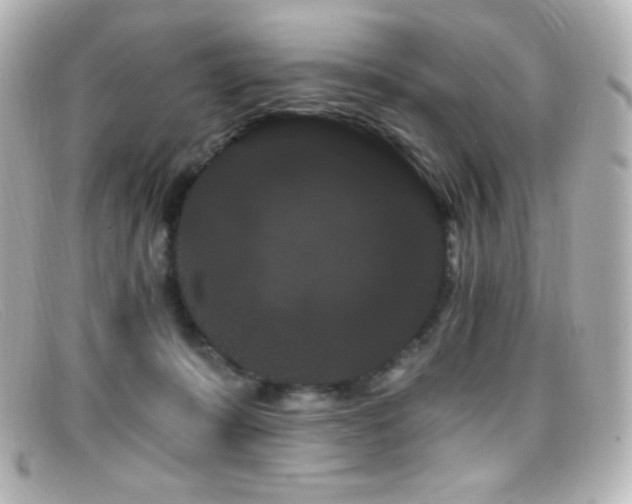 X0000099380319200805081451