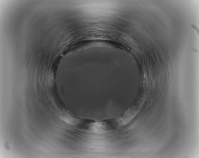 X0000099380320200805081451