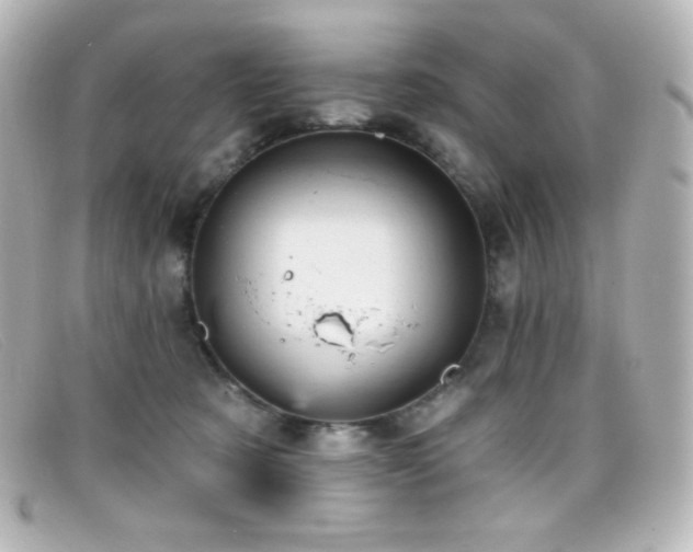 X0000099380321200805081451