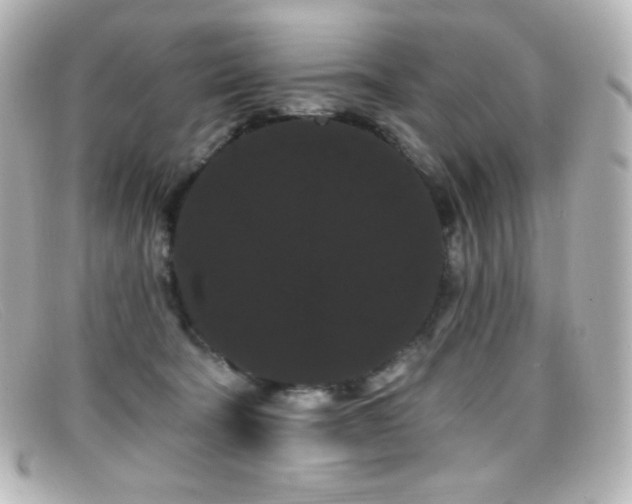 X0000099380322200805081451