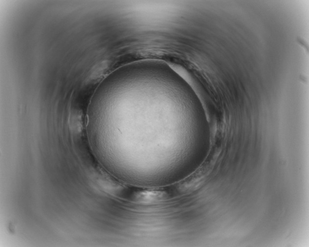 X0000099380323200805081451