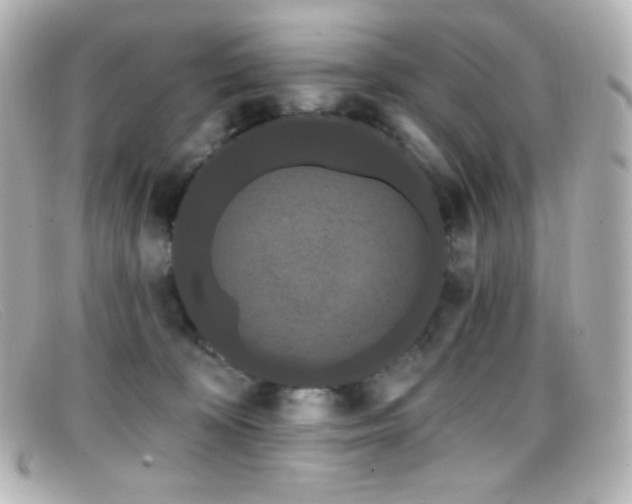 X0000099380324200805081451