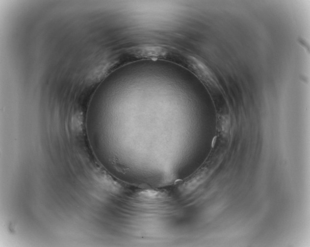 X0000099380326200805081451