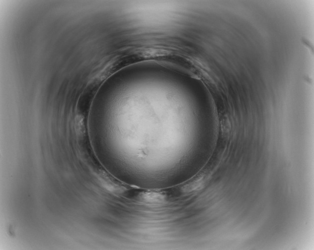 X0000099380327200805081451