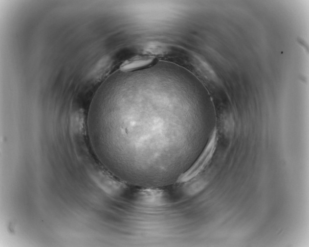 X0000099380328200805081451