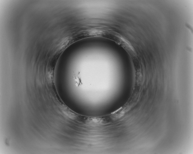 X0000099380329200805081451