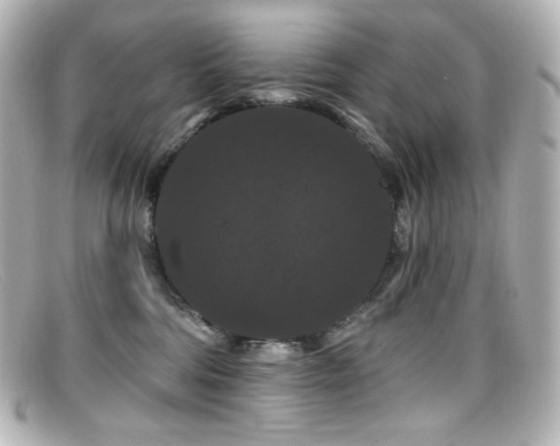 X0000099380330200805081451