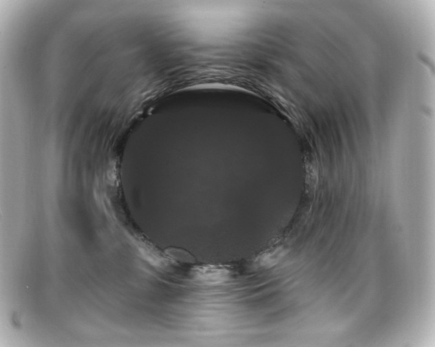 X0000099380331200805081451