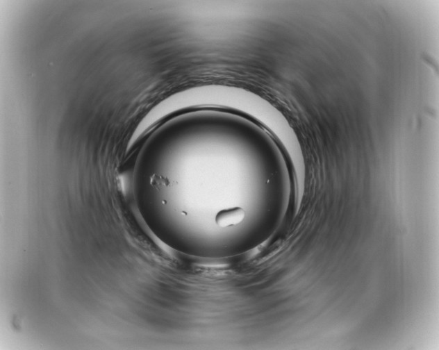 X0000099380332200805081451