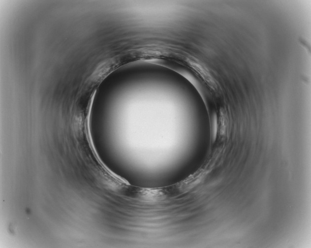 X0000099380333200805081451