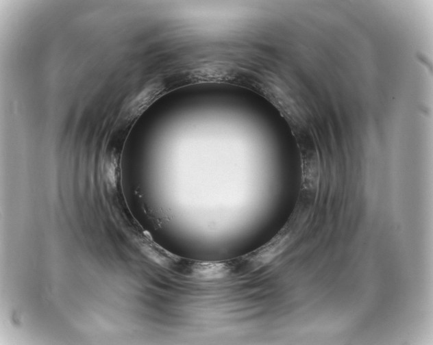 X0000099380334200805081451