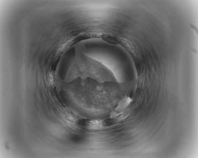 X0000099380335200805081451