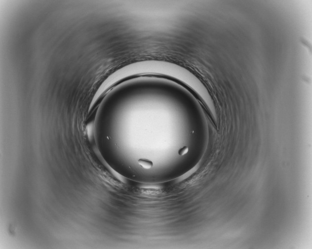 X0000099380336200805081451