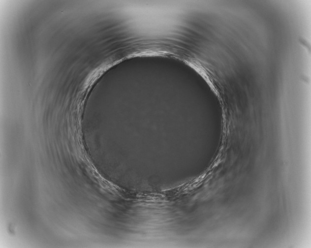 X0000099380337200805081451