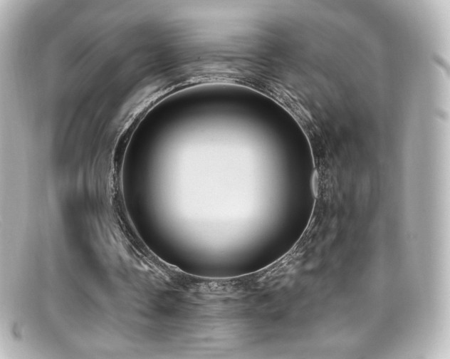 X0000099380338200805081451