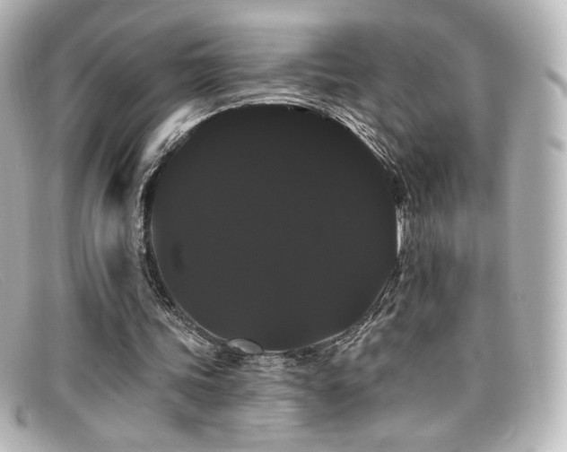 X0000099380339200805081451