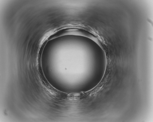 X0000099380340200805081451