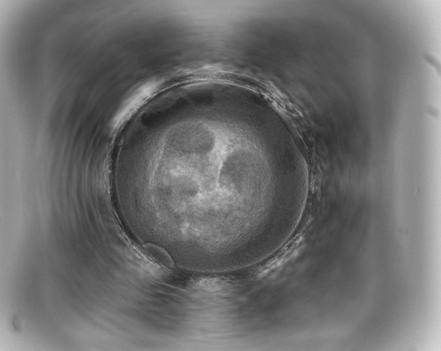 X0000099380341200805081451