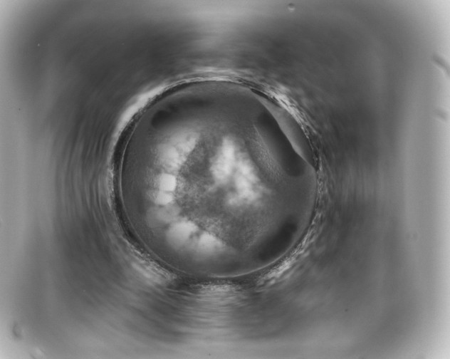 X0000099380342200805081451