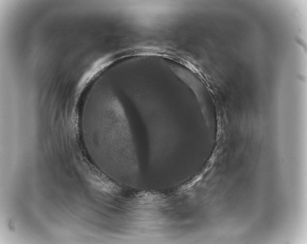 X0000099380343200805081451