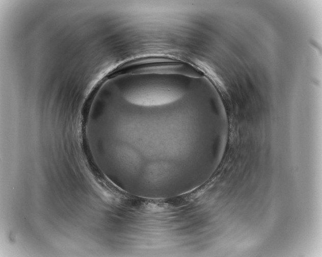 X0000099380346200805081451