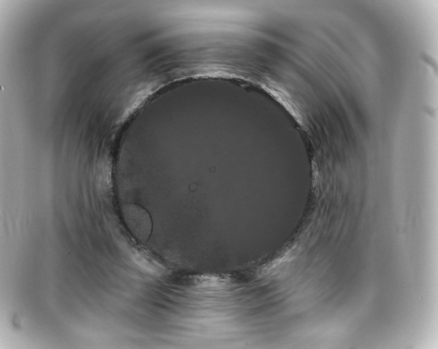 X0000099380347200805081451