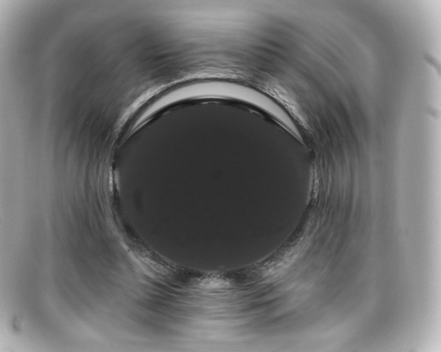 X0000099380348200805081451