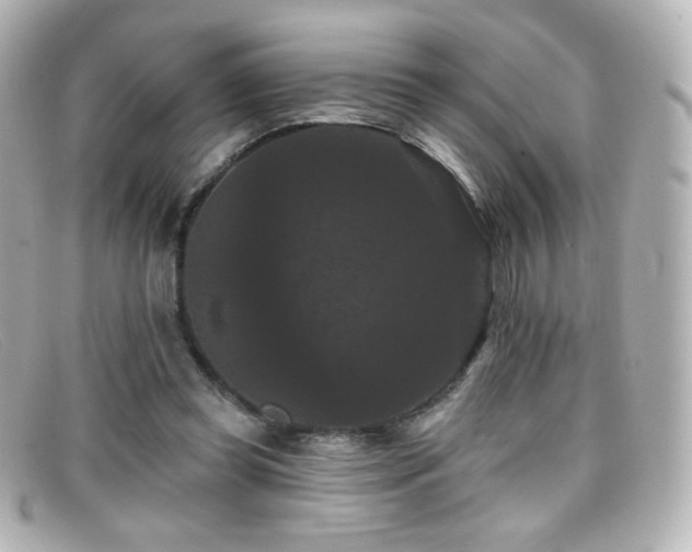 X0000099380349200805081451