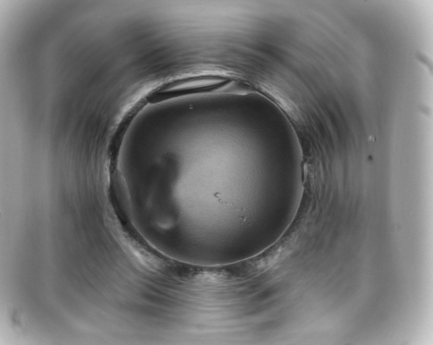 X0000099380350200805081451