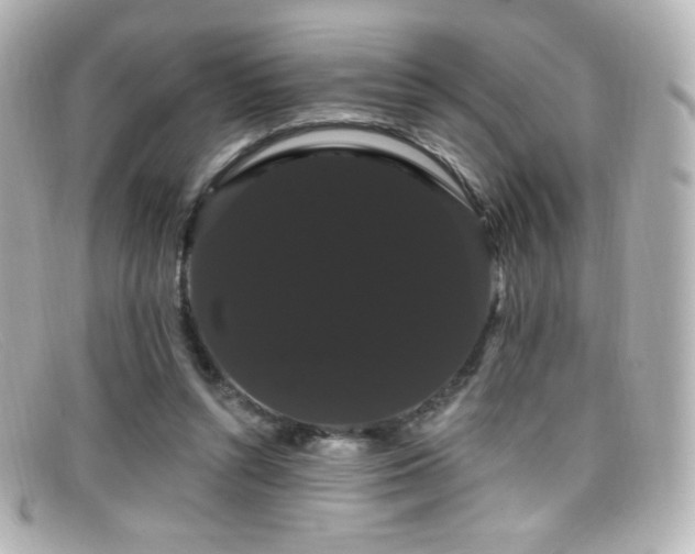 X0000099380352200805081451