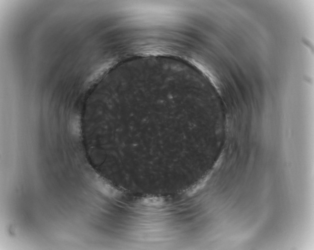 X0000099380353200805081451