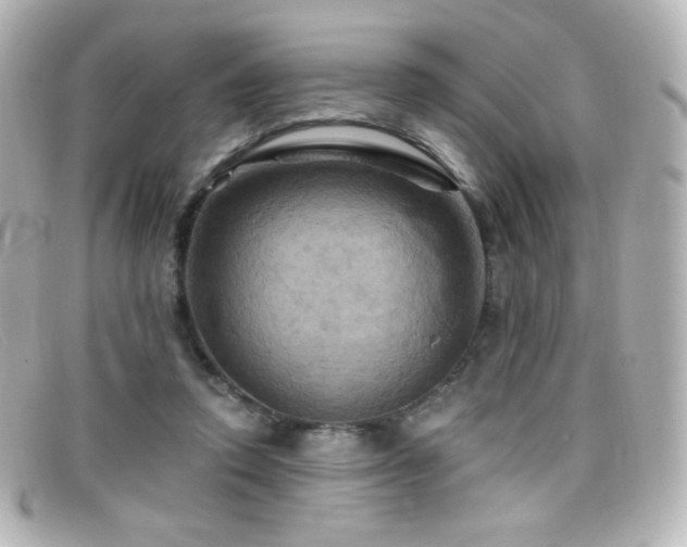 X0000099380354200805081451