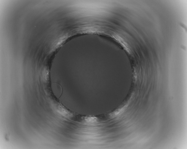 X0000099380355200805081451