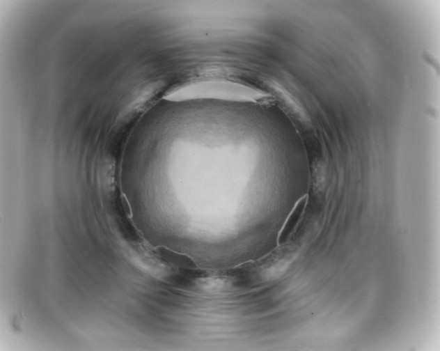 X0000099380356200805081451