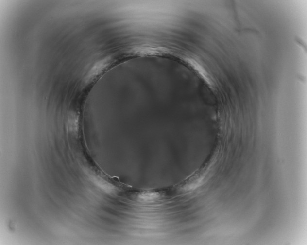 X0000099380357200805081451